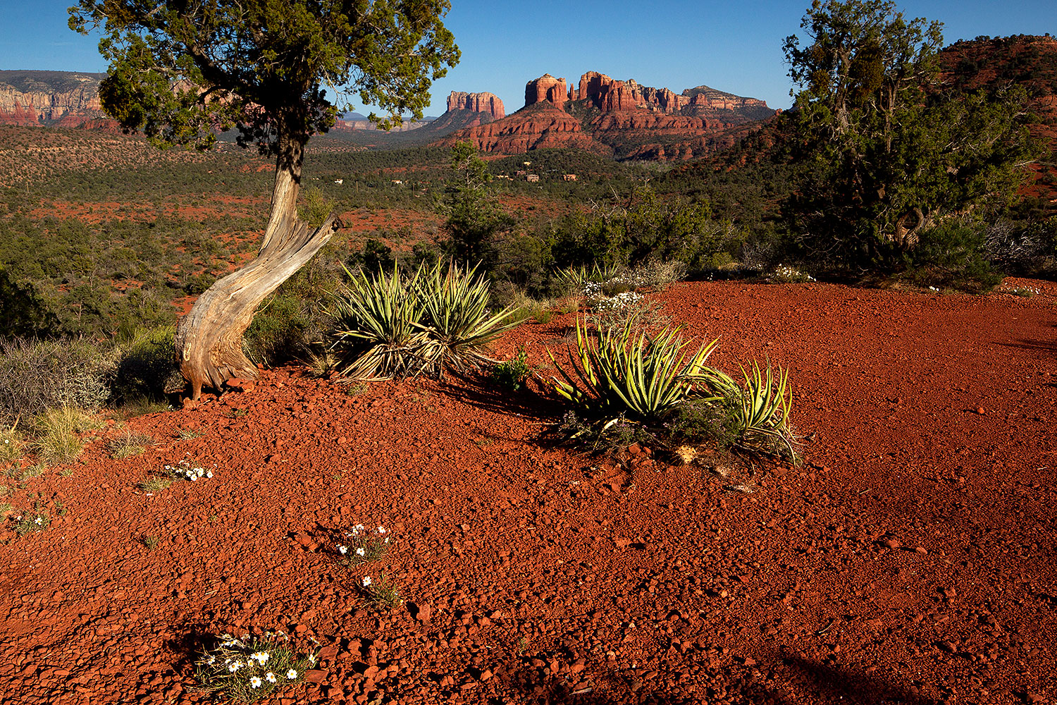 2012-04-16-sedona-cathedral-154696