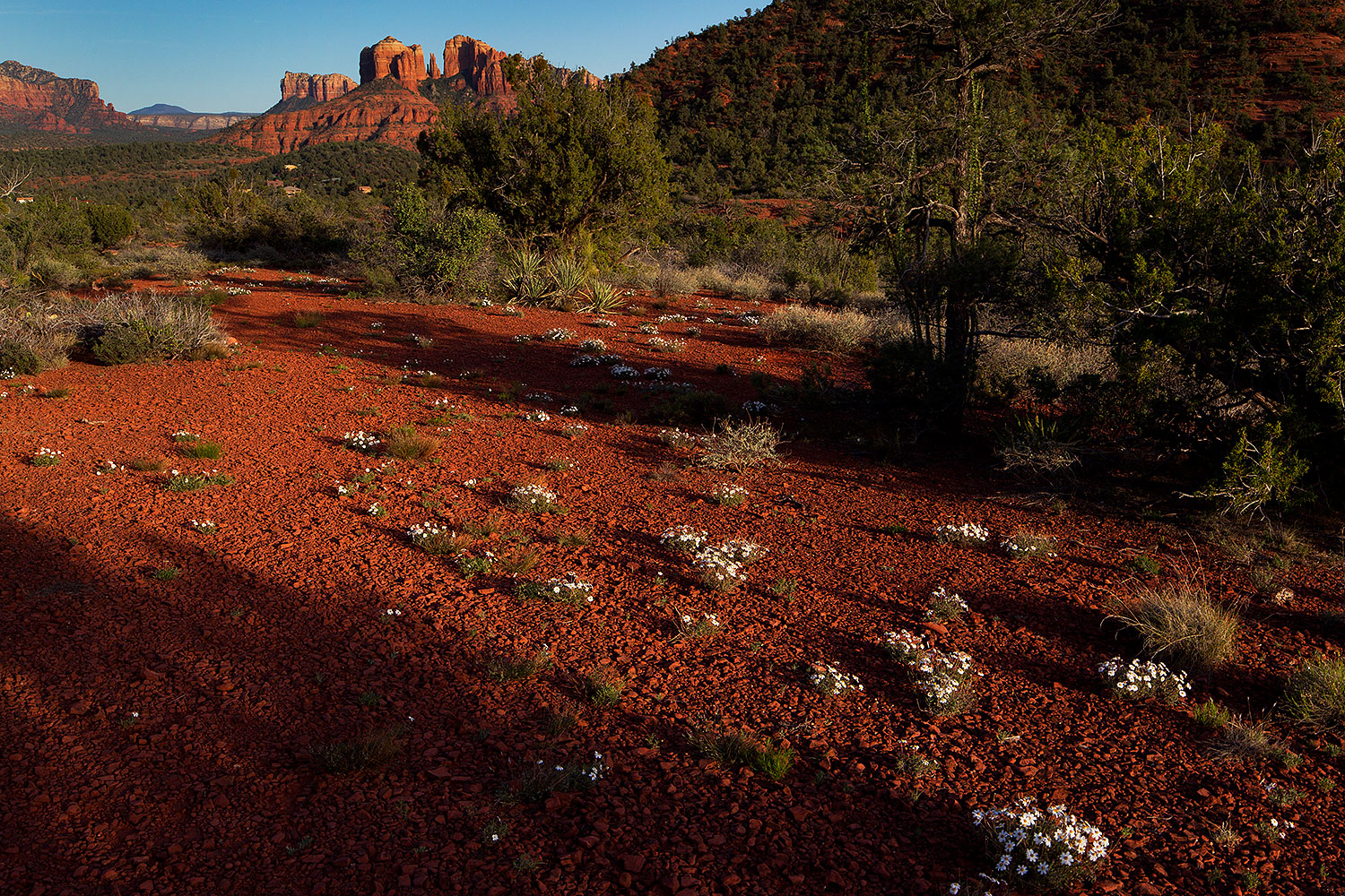 2012-04-16-sedona-cathedral-154743