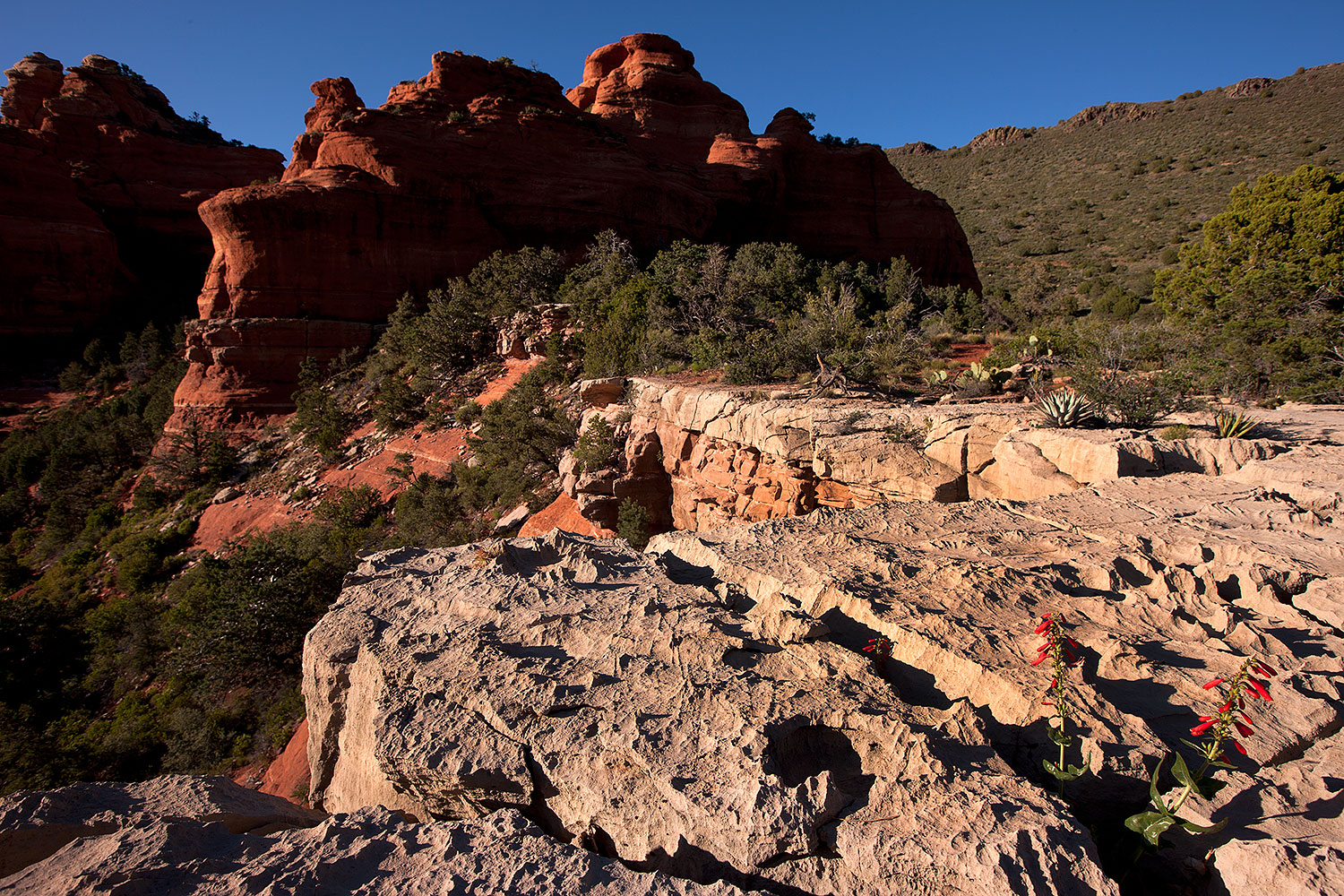 2012-05-04-schnebly-hood-aft-1ds3_0205