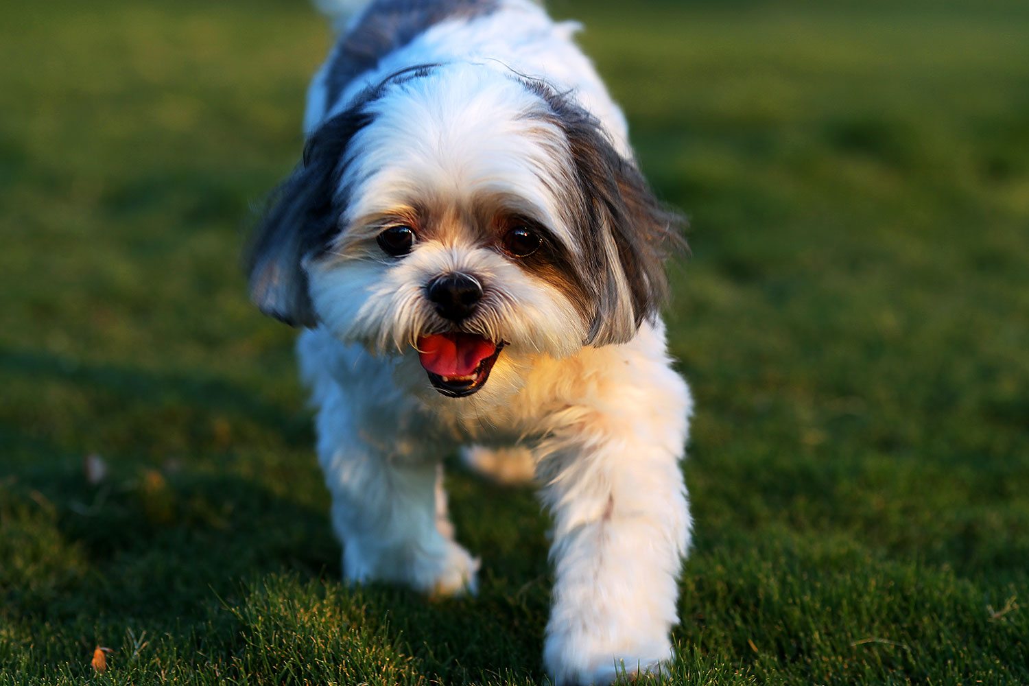 2012-09-23-fhills-bnb-1d4_3006