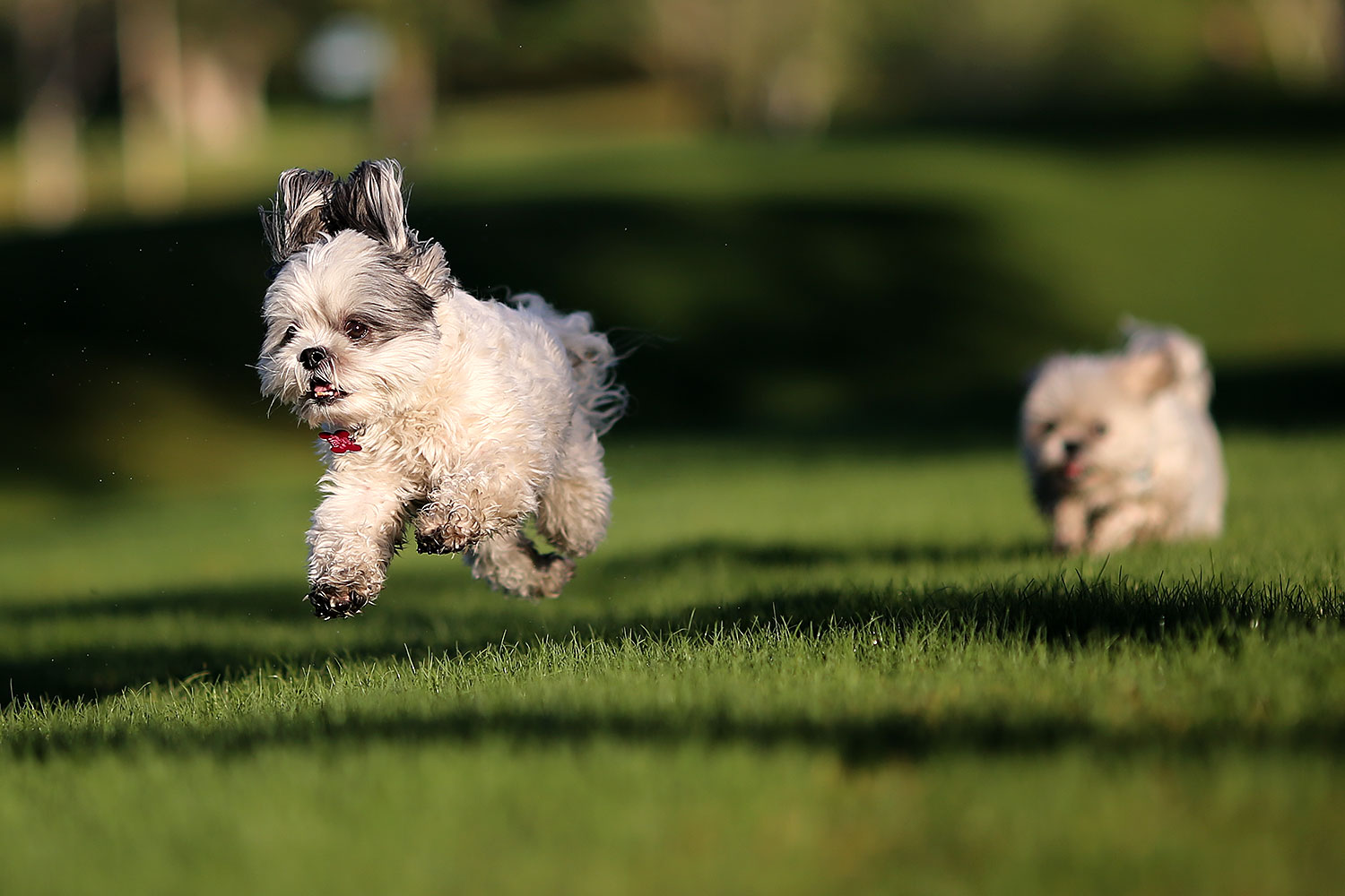 2012-10-13-fhills-bnb-1dx_1612