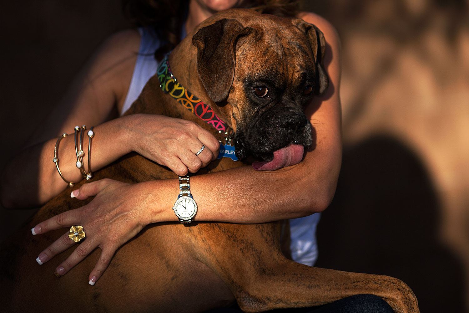 2012-10-28-gilbert-harley-1dx_11976