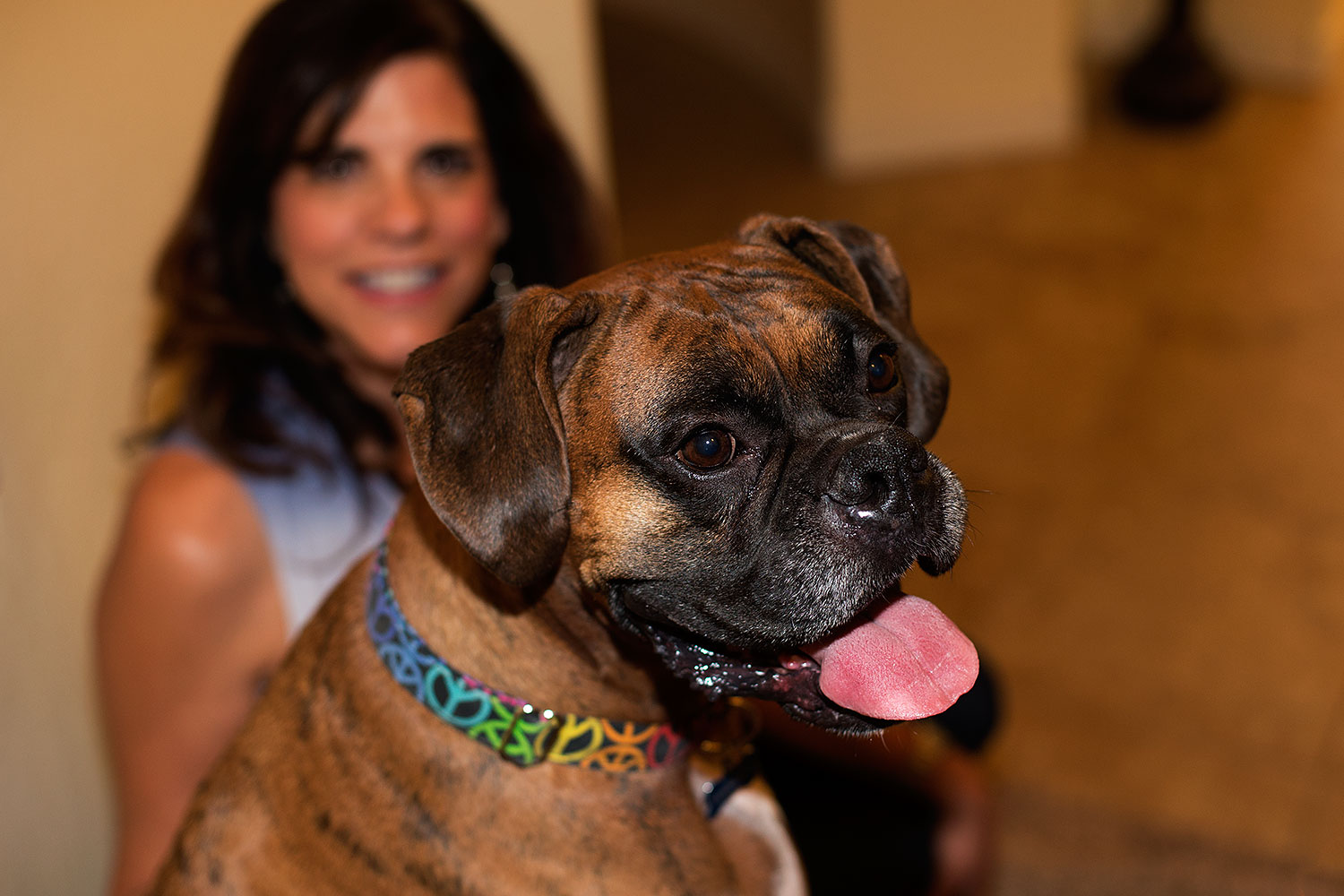 2012-10-28-gilbert-harley-1dx_12248