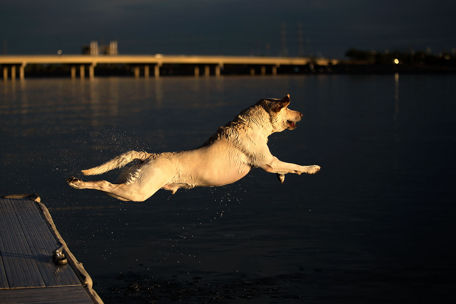 2012-11-20-tempe-lake-lab-5609