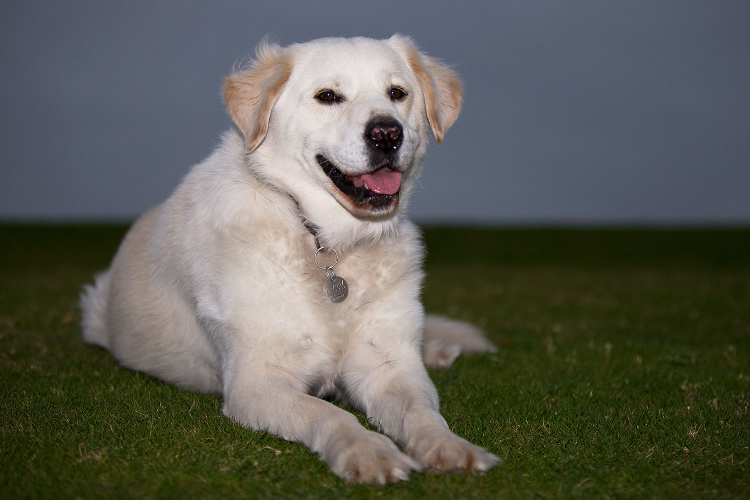 2012-12-06-tempe-casper-6489