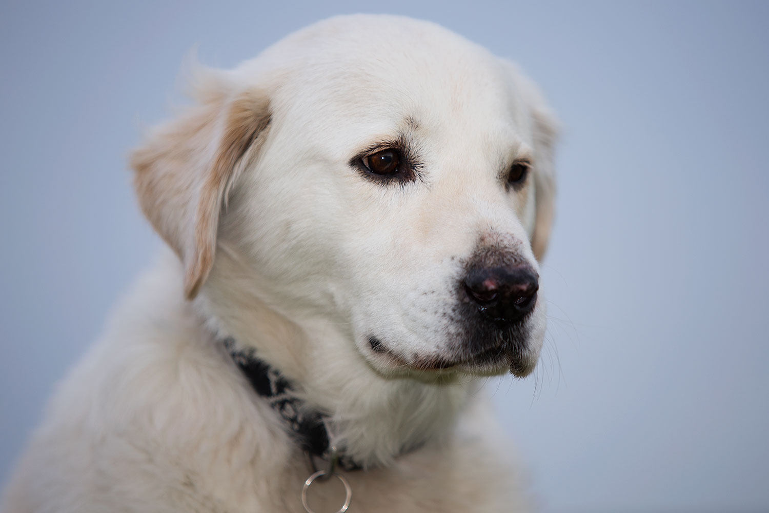 2012-12-06-tempe-casper-6563