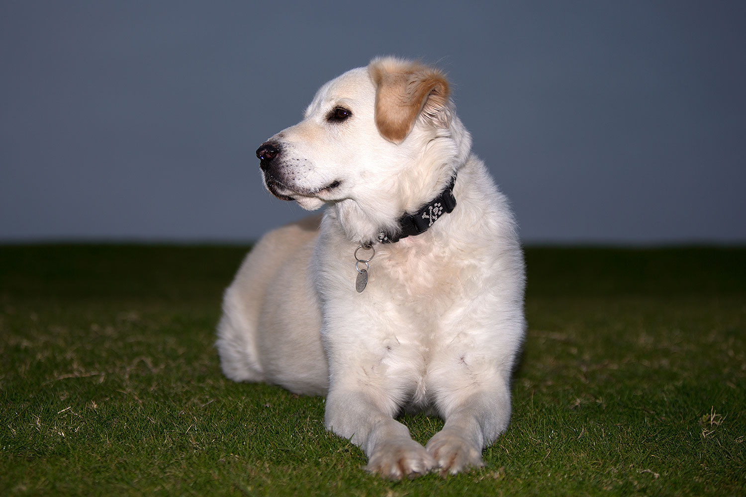 2012-12-06-tempe-casper-6582