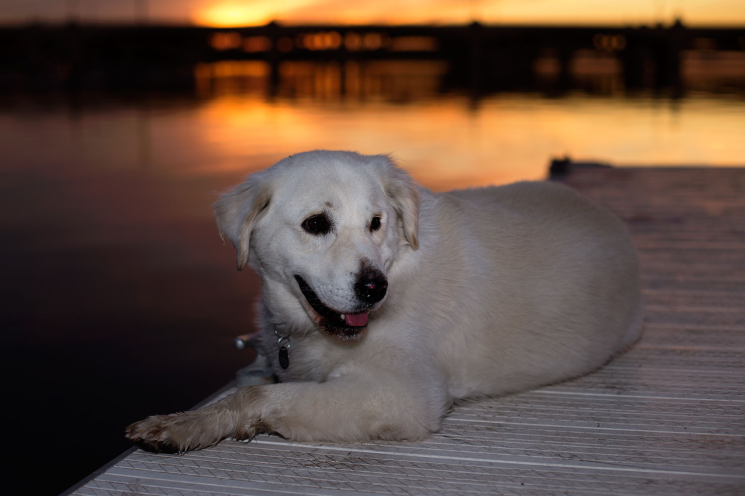 2012-12-06-tempe-sunset-casper-6632
