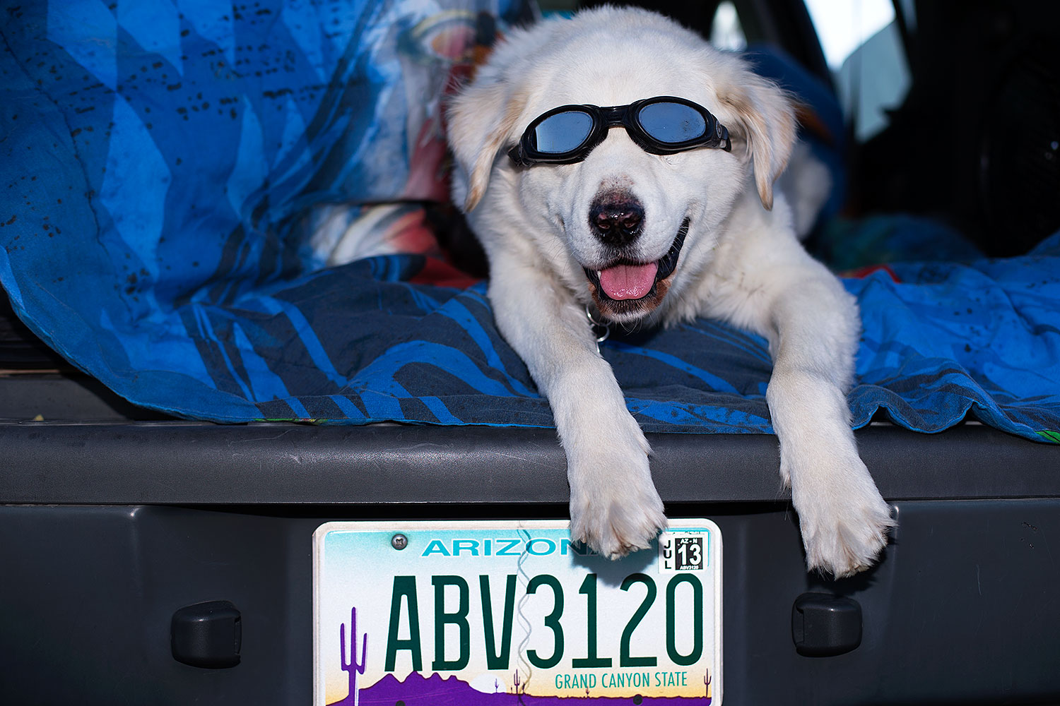 2012-12-07-tempe-casper-6913