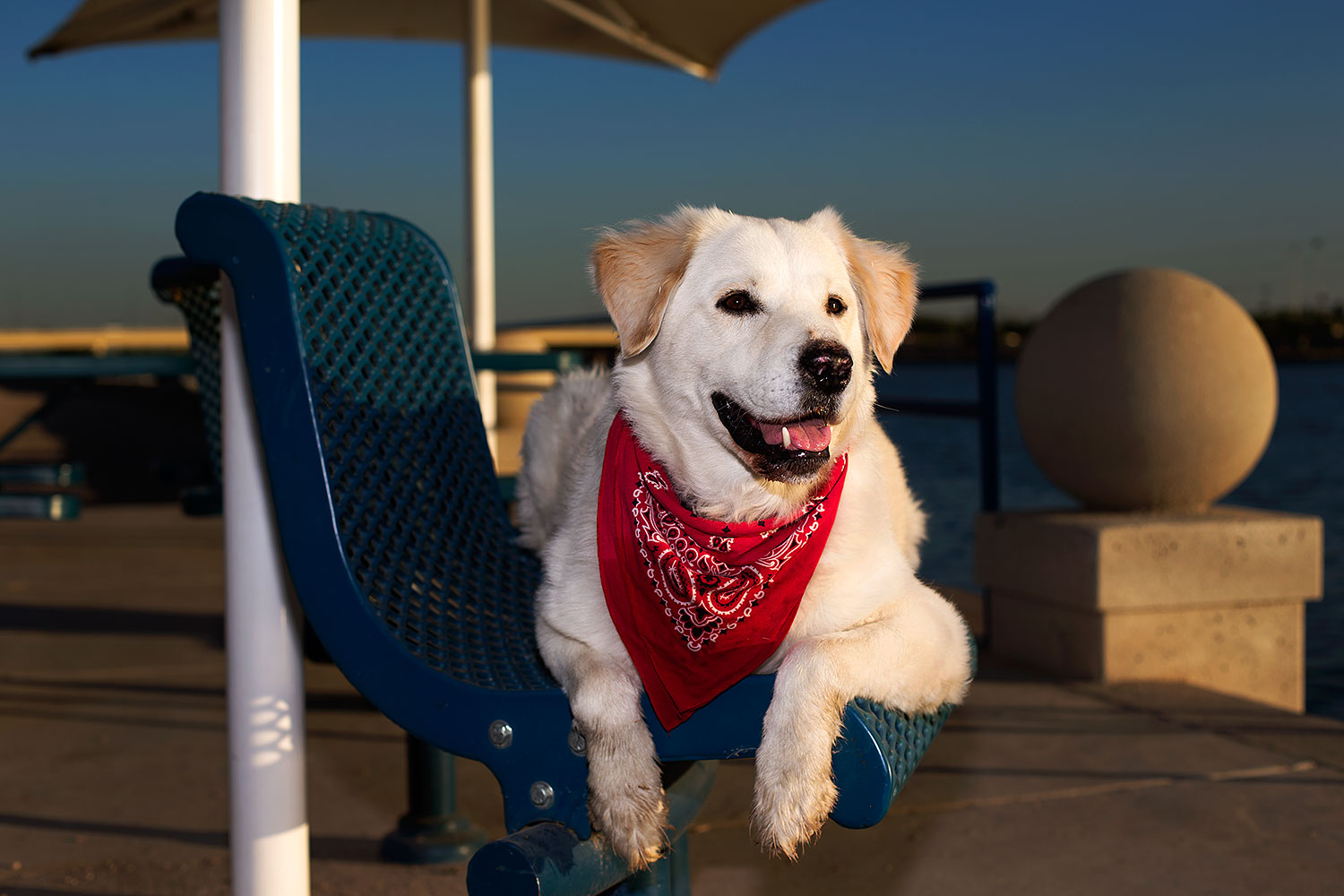 2012-12-07-tempe-casper-7024