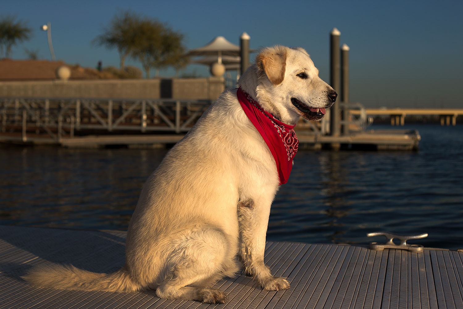 2012-12-07-tempe-casper-7045