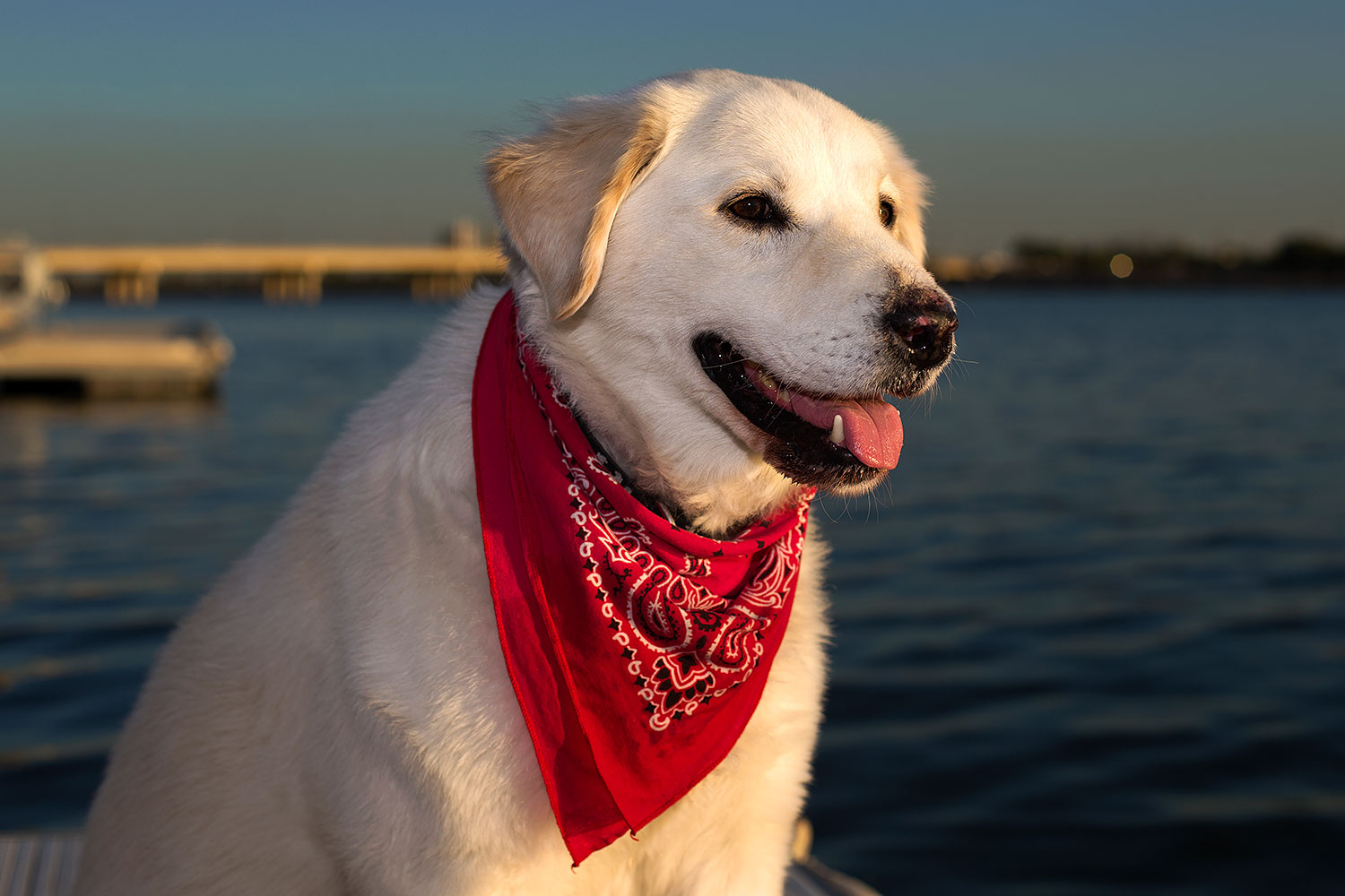 2012-12-07-tempe-casper-7084