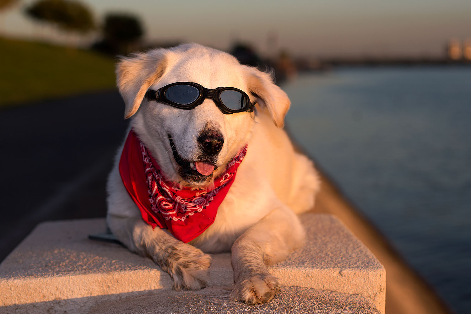 2012-12-07-tempe-casper-7161