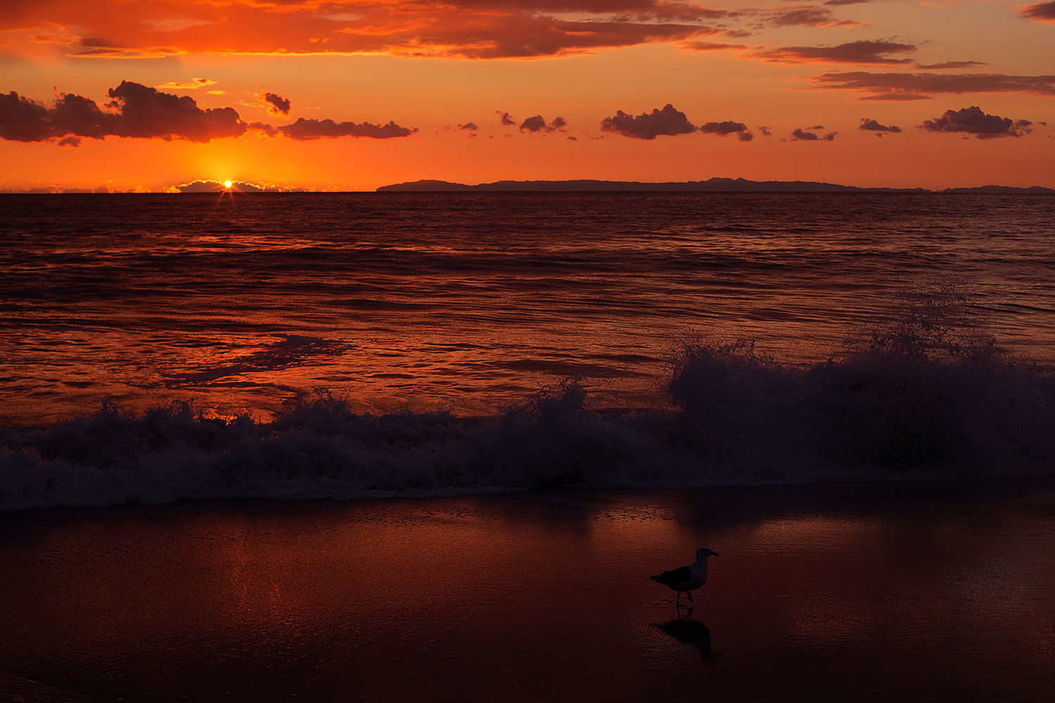 2012-12-30-ca-aliso-sunset-14841