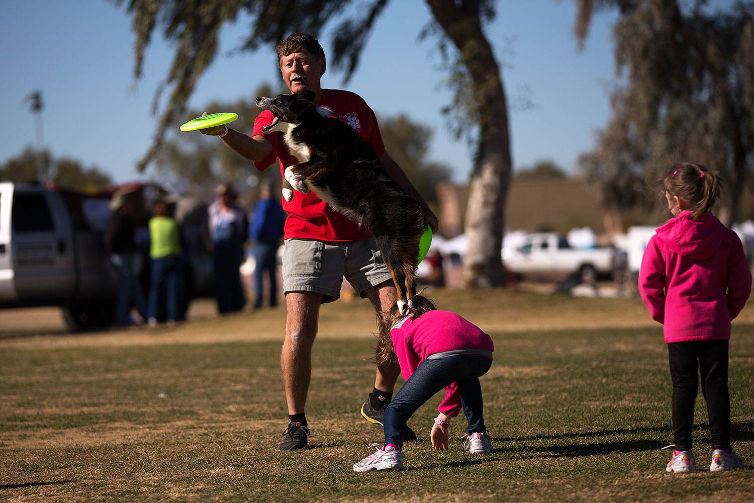 2013-01-18-havasu-balloons-dogs-20213