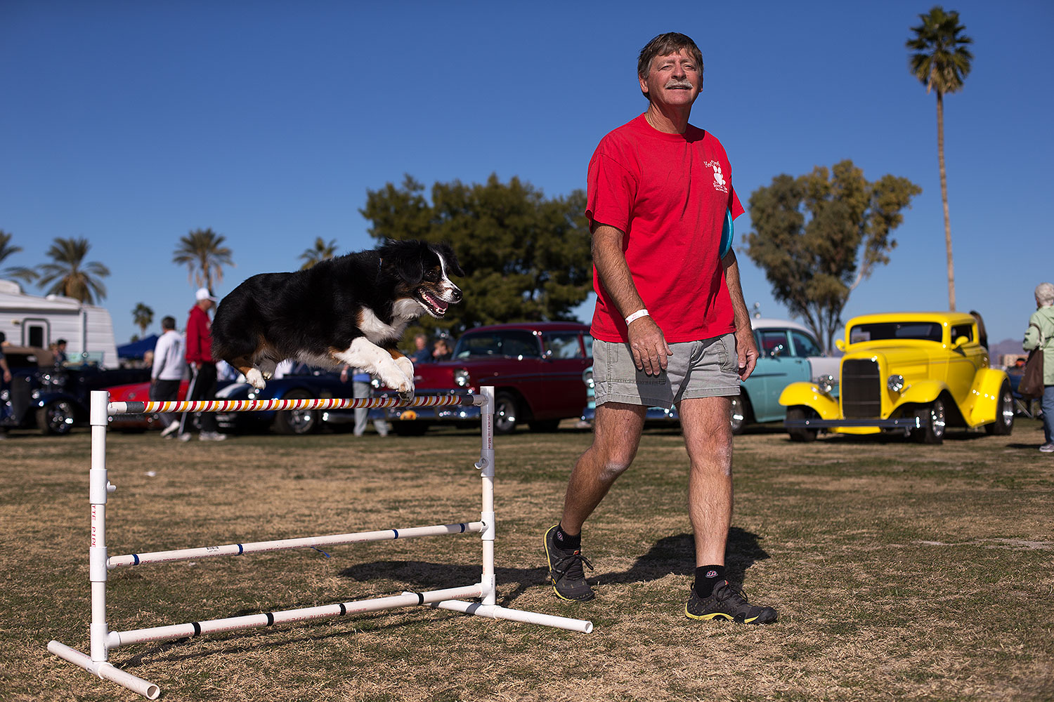 2013-01-18-havasu-balloons-dogs-20315