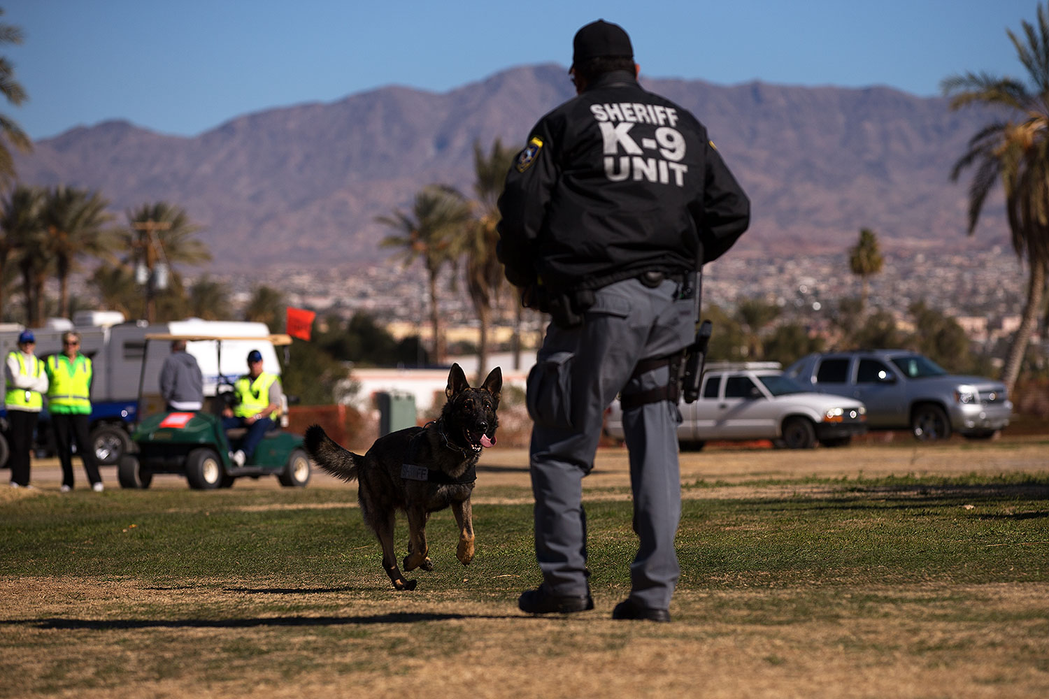 2013-01-18-havasu-balloons-dogs-20322