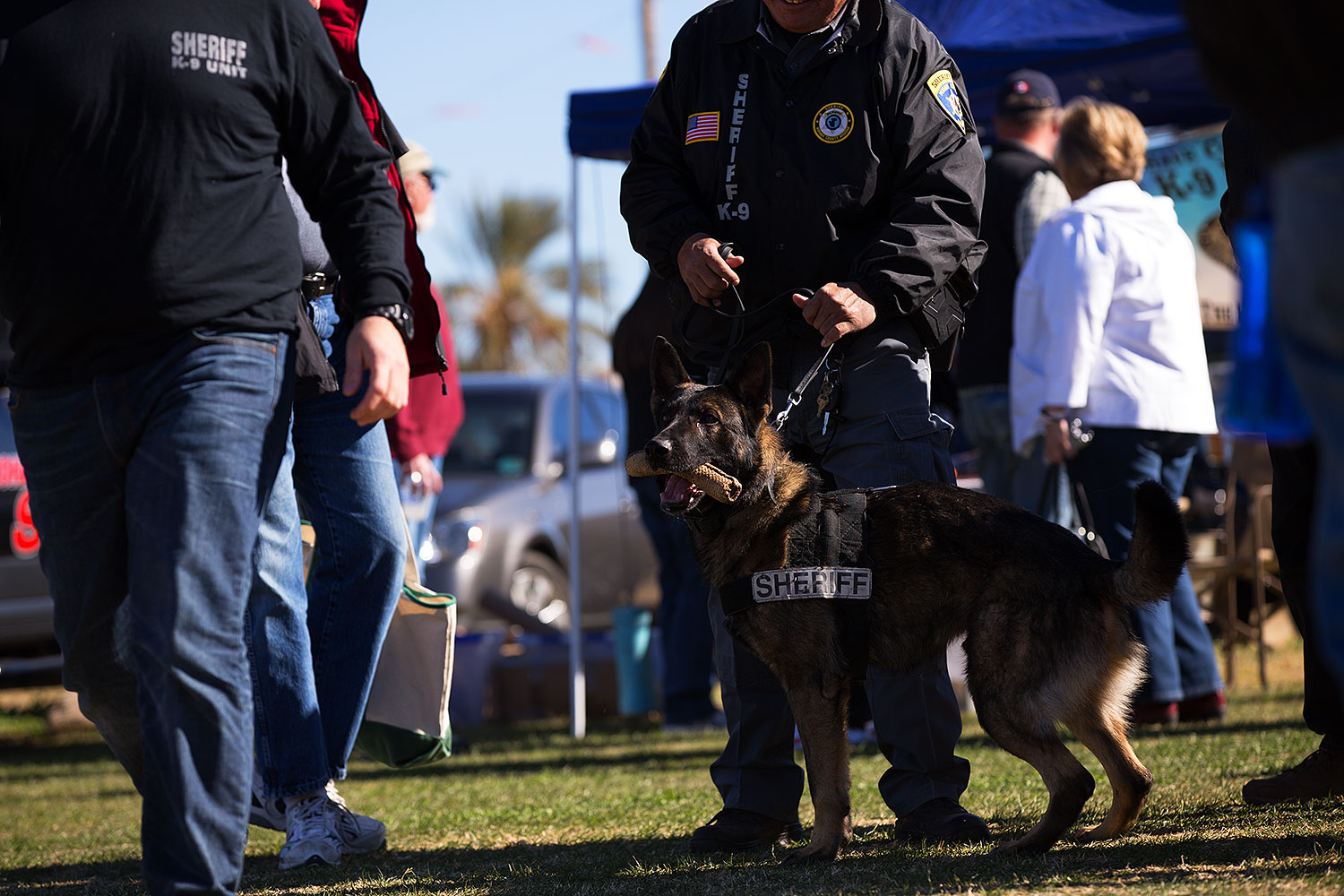 2013-01-18-havasu-balloons-dogs-20337