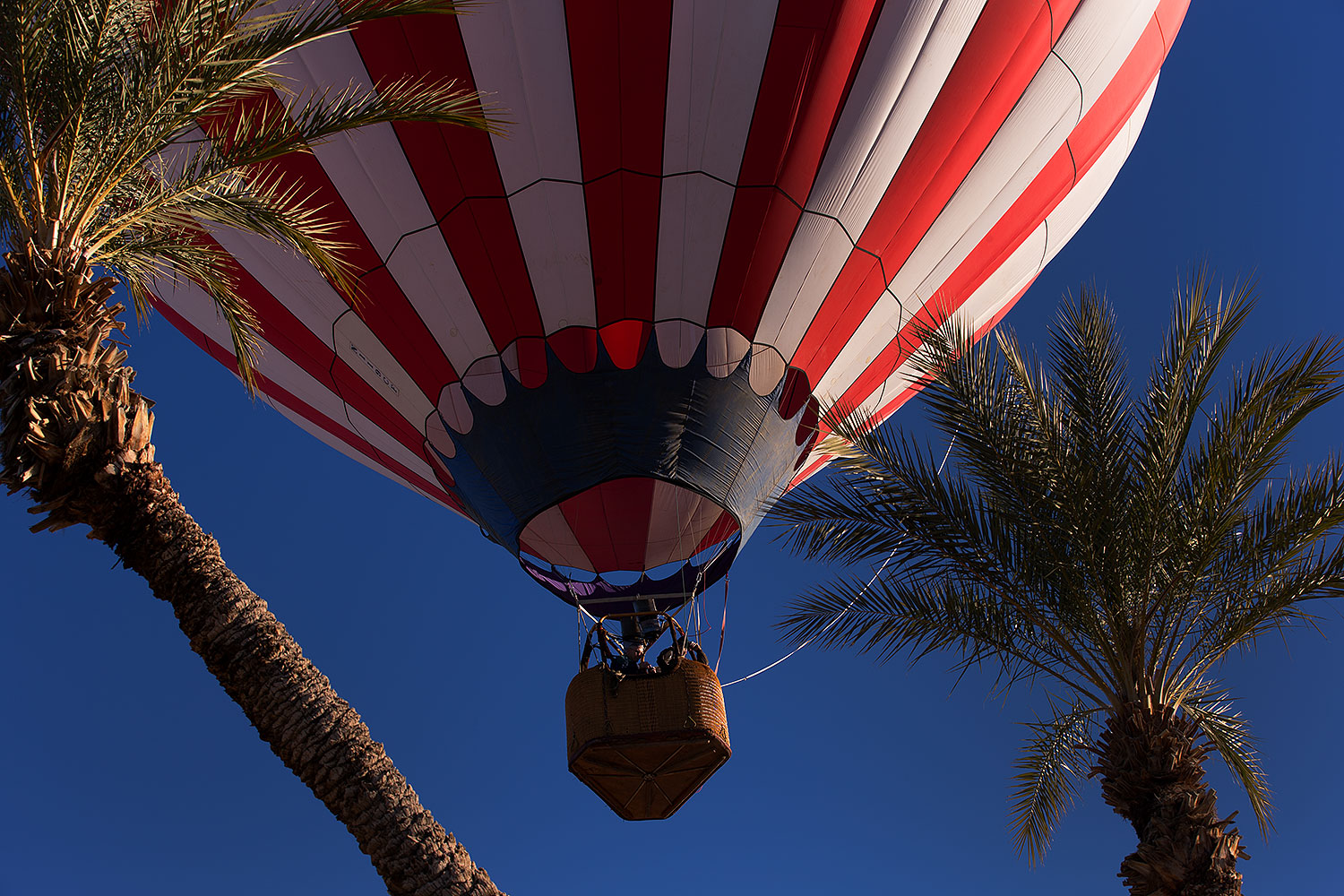 2013-01-21-havasu-balloons-22895