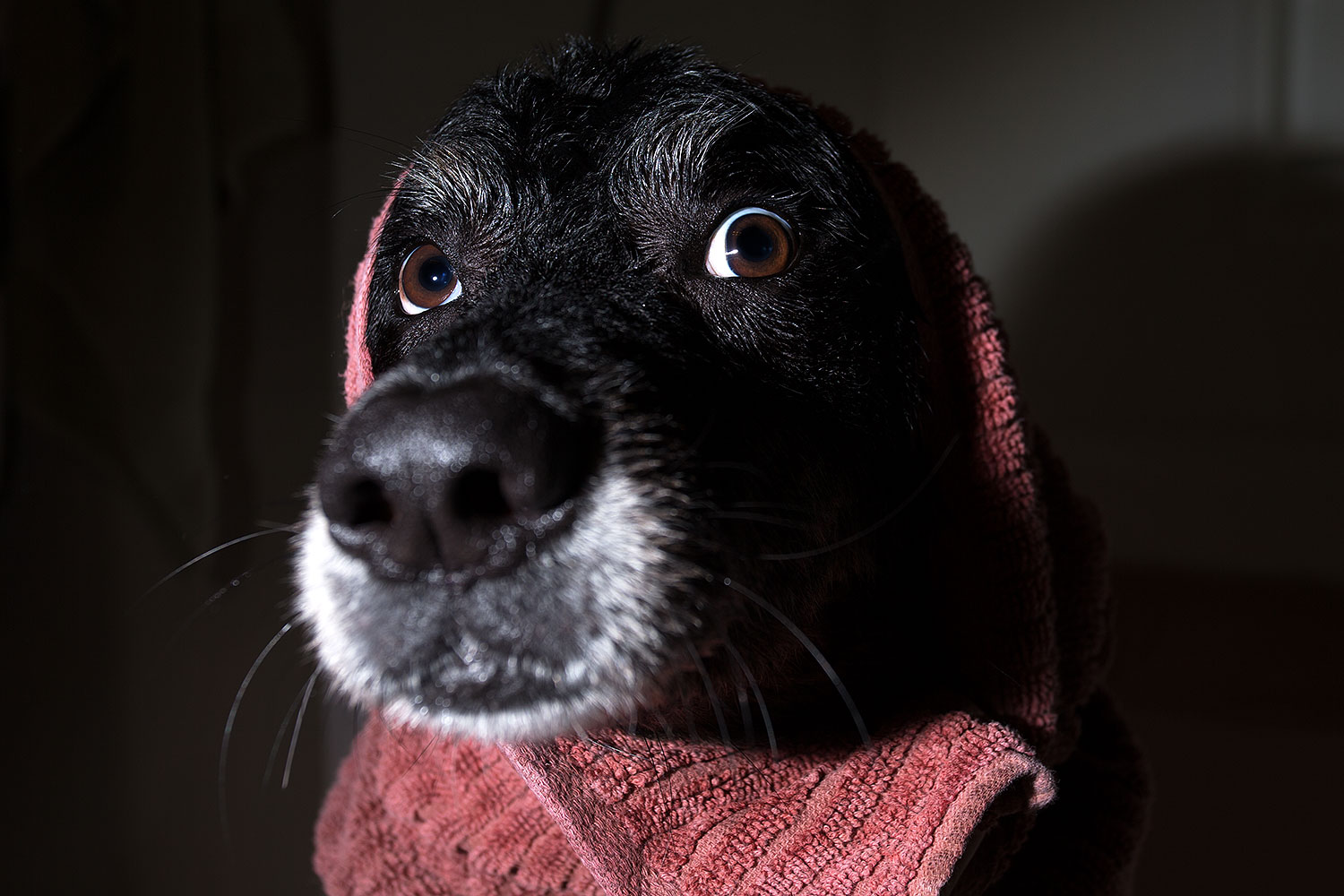 2013-04-28-dudley-shower-37336