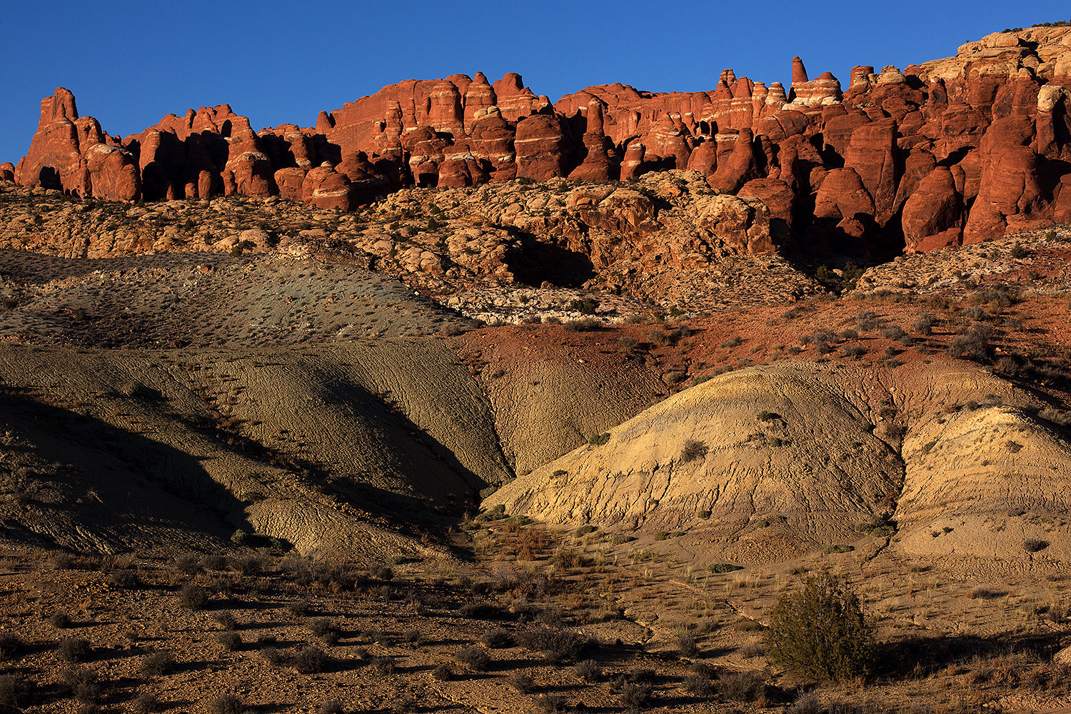 2013-11-01-fiery-furnace-1d4_2232