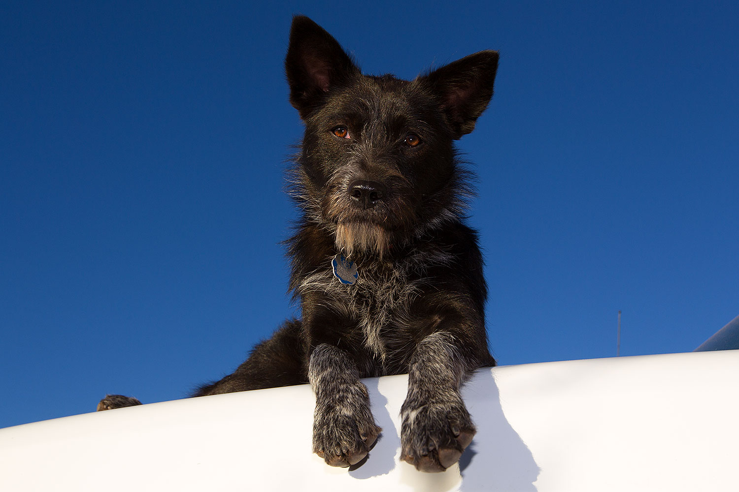 2013-11-08-moab-mtns-kiera-1d4_4201