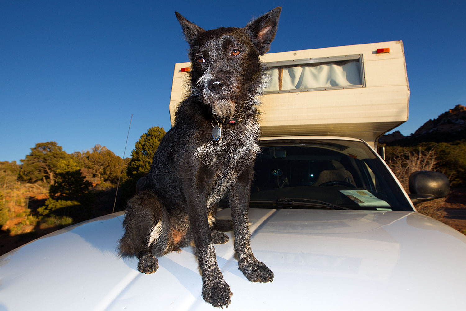 2013-11-08-moab-mtns-kiera-1d4_4293