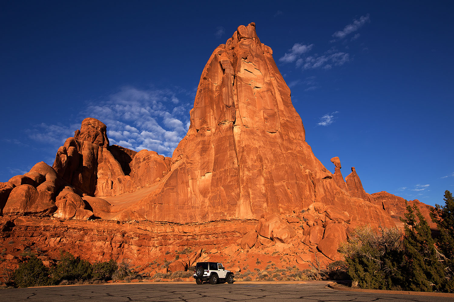 2013-11-09-park-ave-6d_0842