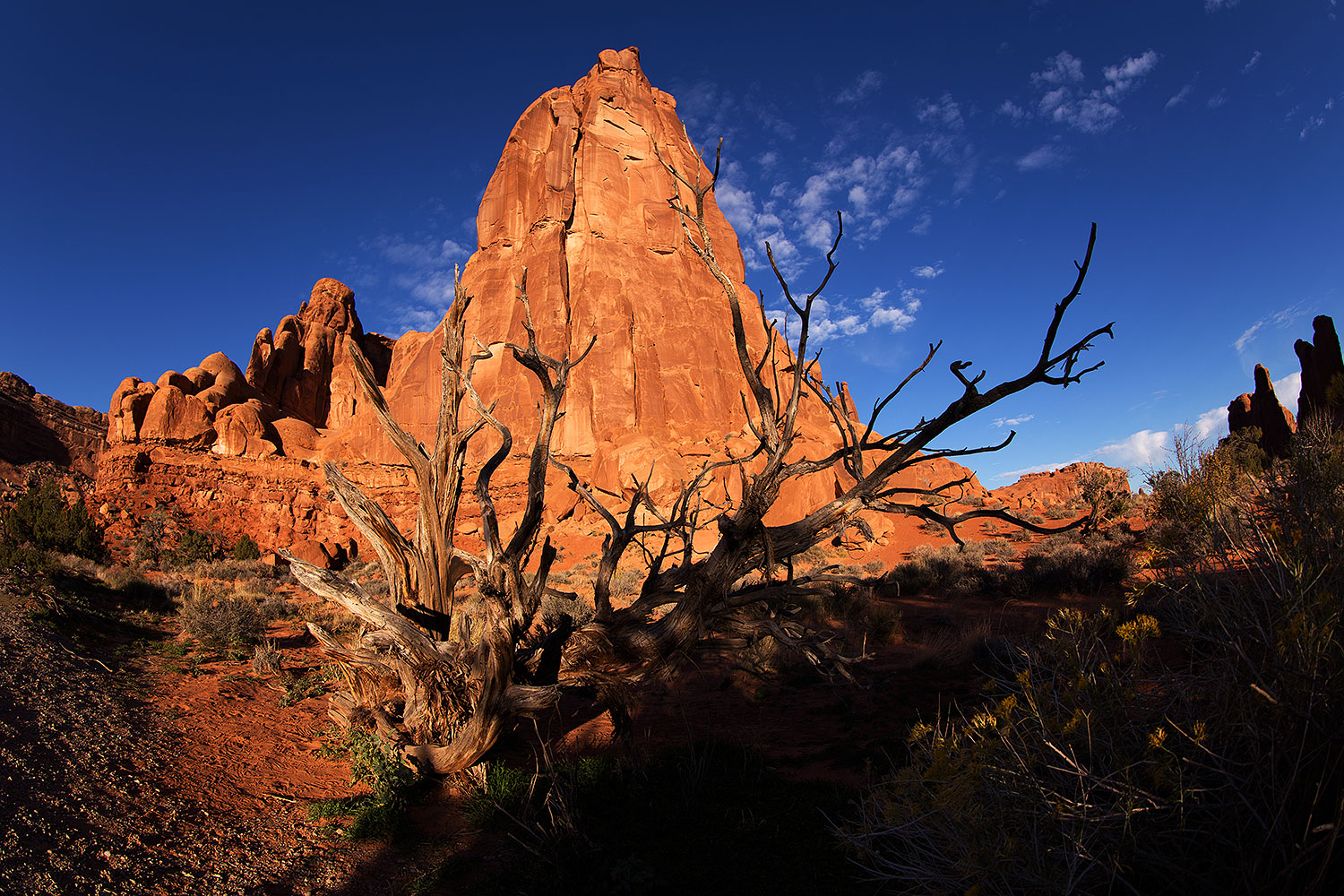 2013-11-09-park-ave-6d_0850