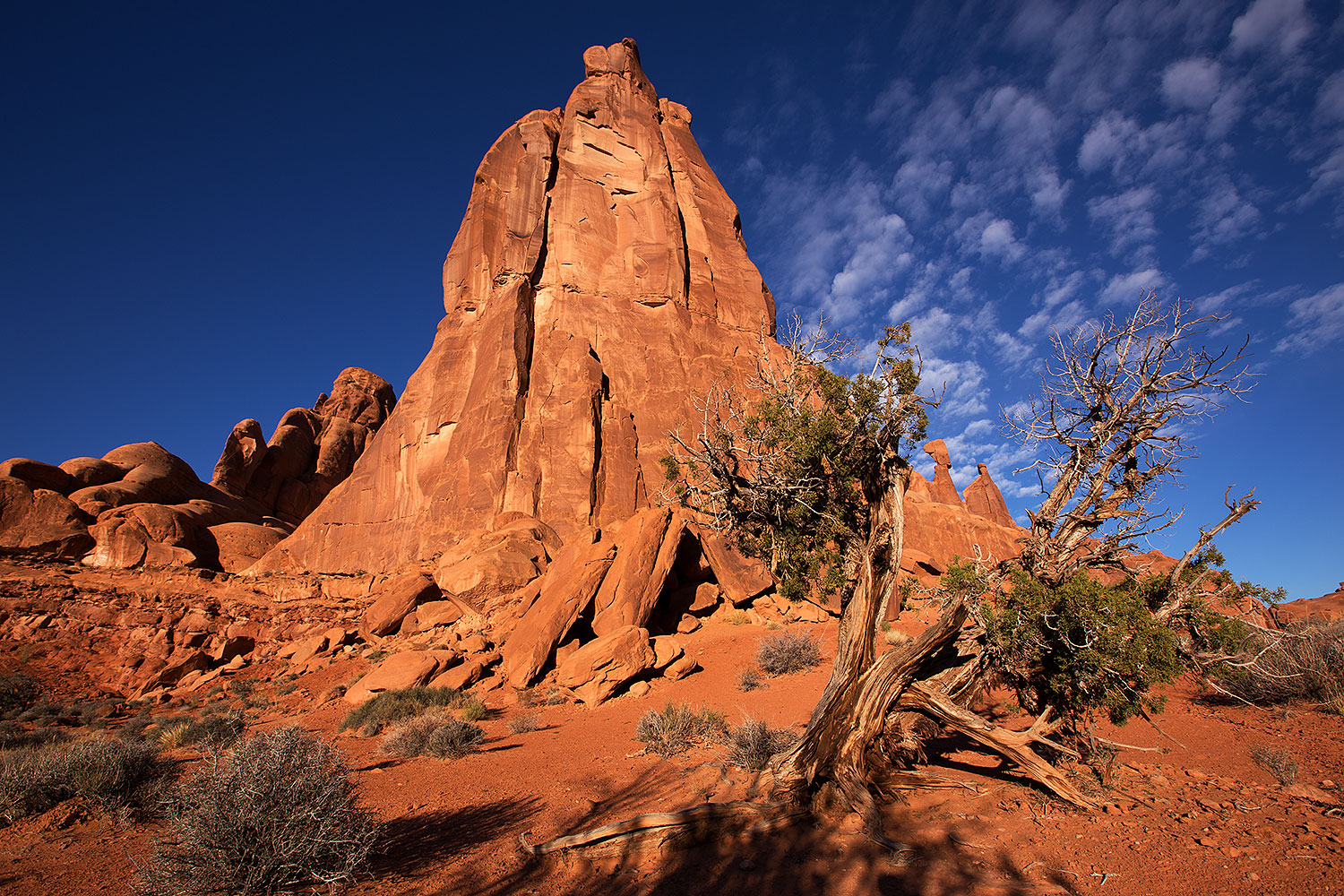 2013-11-09-park-ave-6d_0867