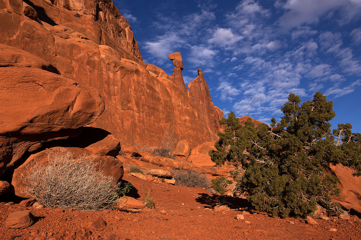 2013-11-09-park-ave-6d_0876