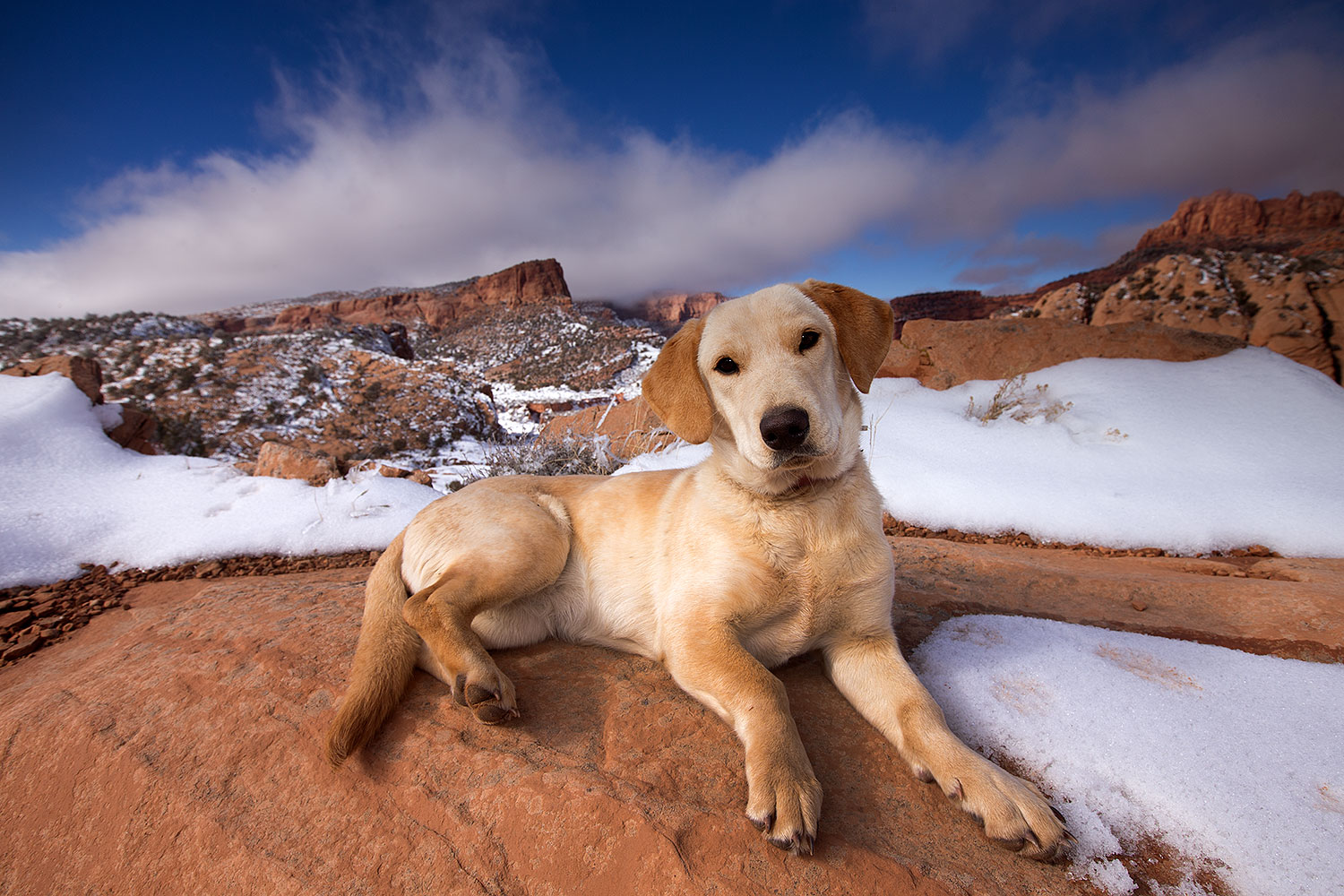 2013-12-02-tsegi-annie-1dx_8550