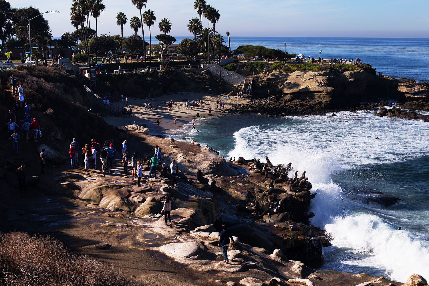 2014-01-02-lajolla-views-1x_08670