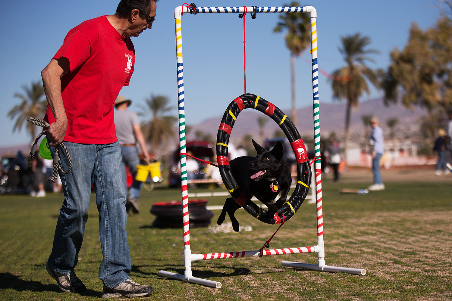 2014-01-17-havasu-dogs-1dx_1450