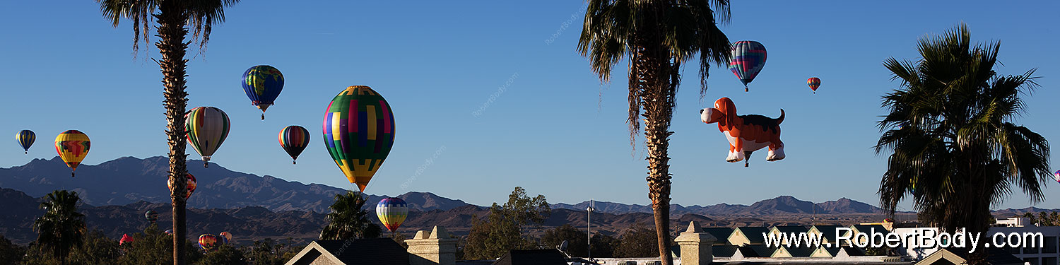 2014-01-17-havasu-fountain-1dx_0426sp