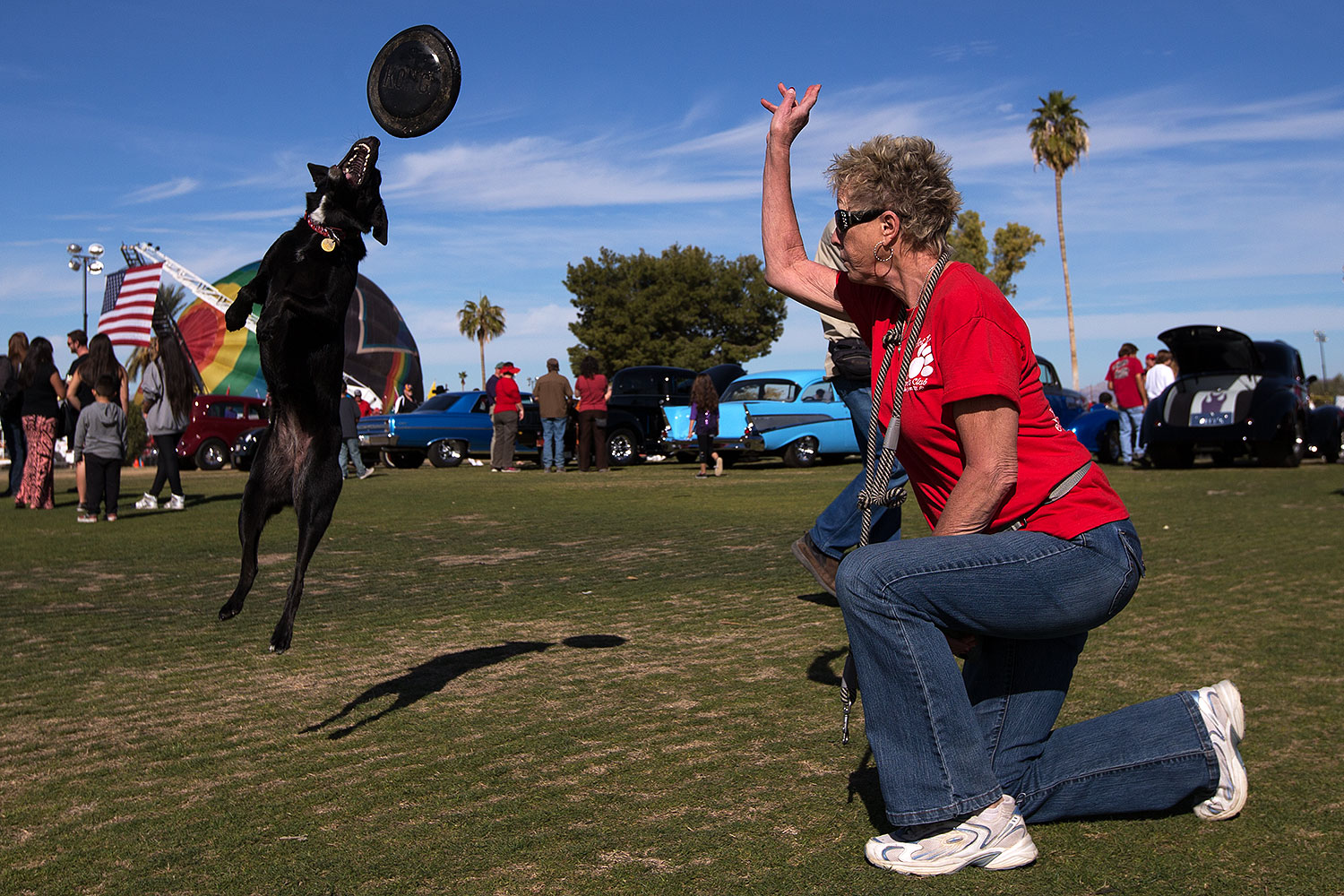 2014-01-19-havasu-dogs-1dx_8255