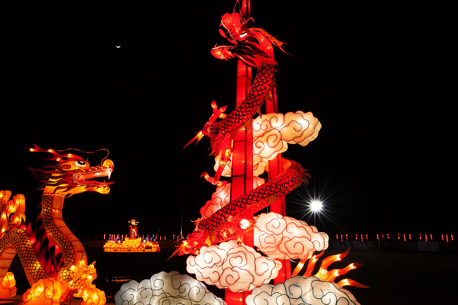 2014-02-03-fhills-chin-dragon-5d2_1489