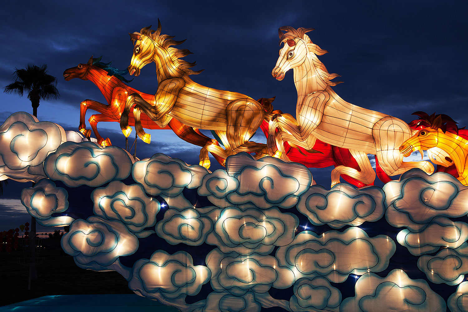 2014 02 05 fhills chin horses 5d2 2041