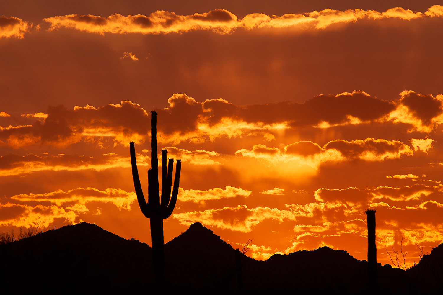 Sunset in Superstitions â€¦ June 2014