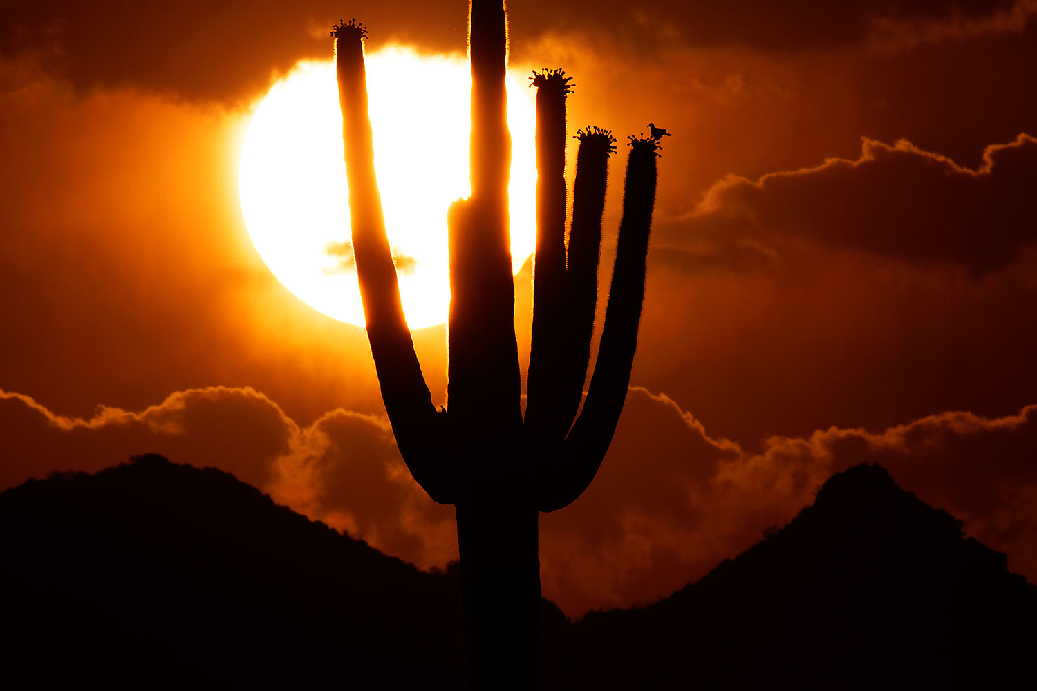 Sunset in Superstitions â€¦ June 2014