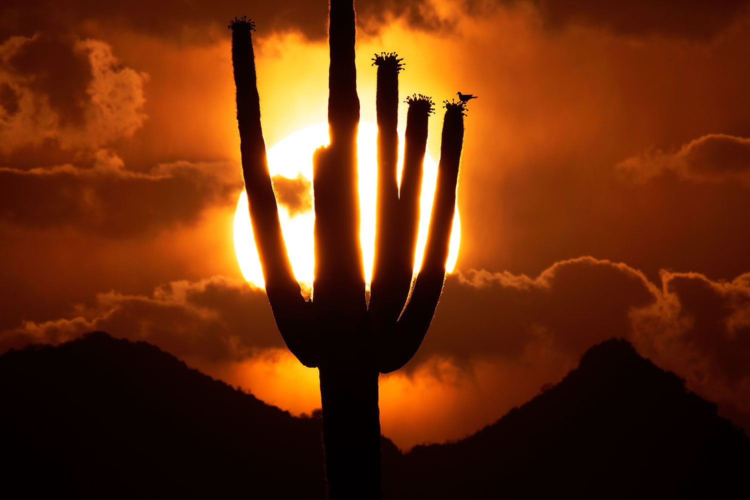 Sunset in Superstitions â€¦ June 2014