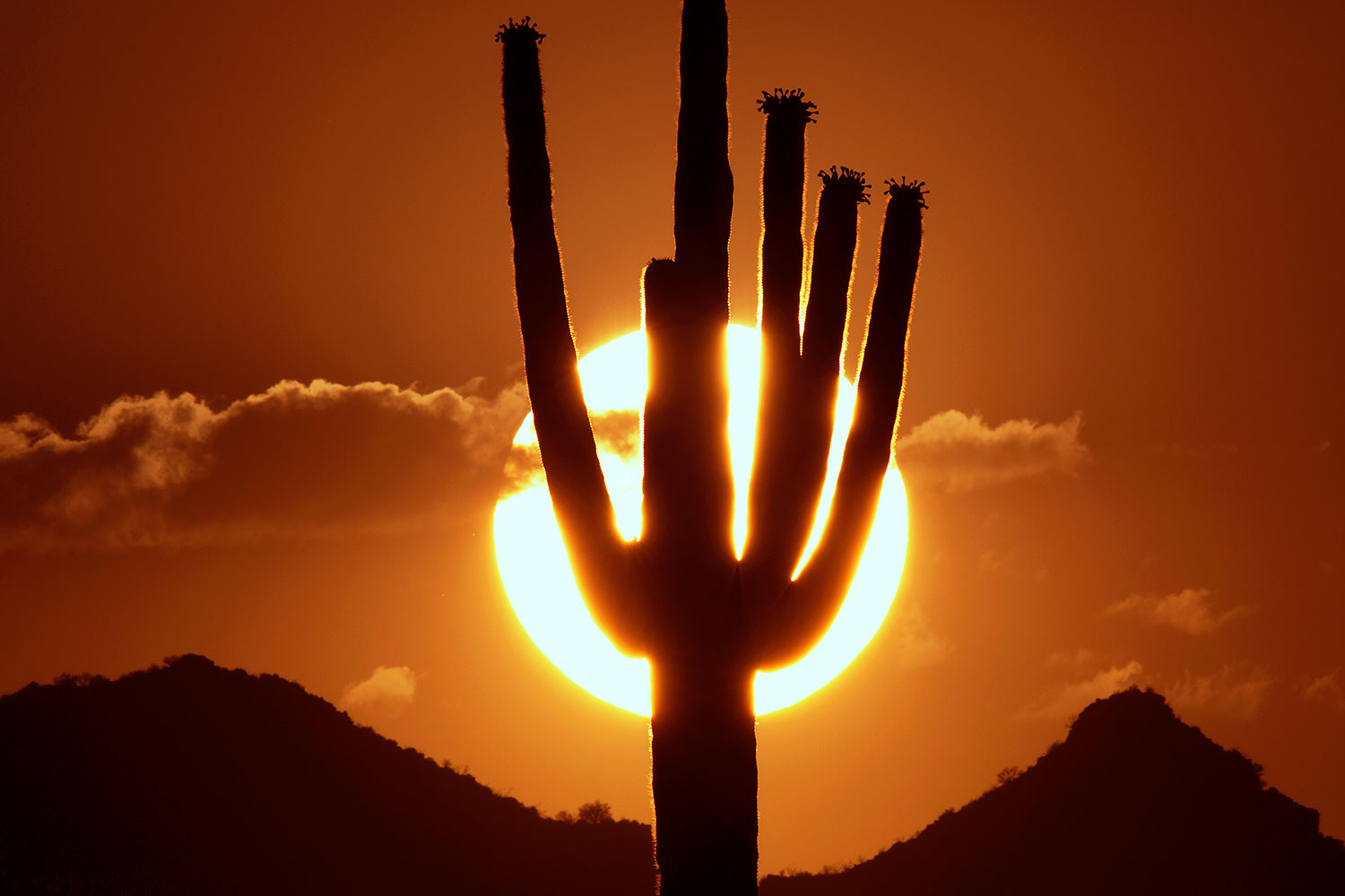 2014-06-17-supers-sunset-5d3_3537