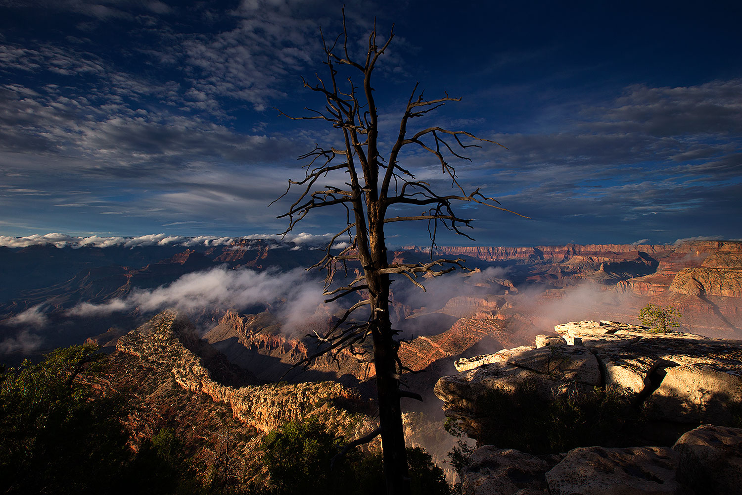 2014-08-13-gc-grandview-1dx_5064