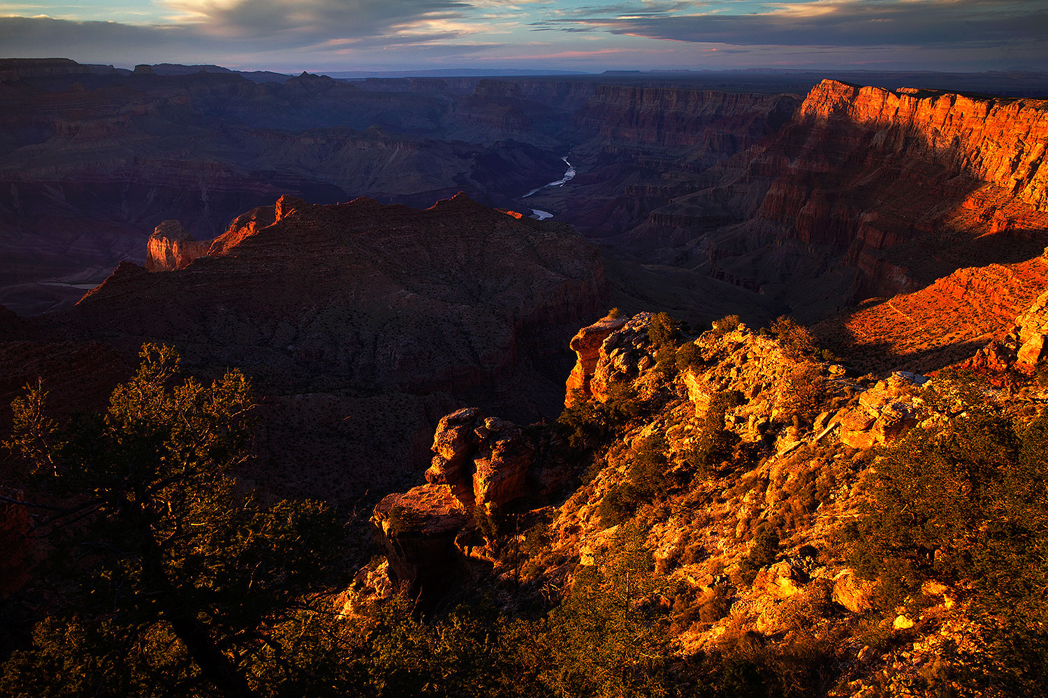 2014-08-29-gc-lipton-1dx-0038