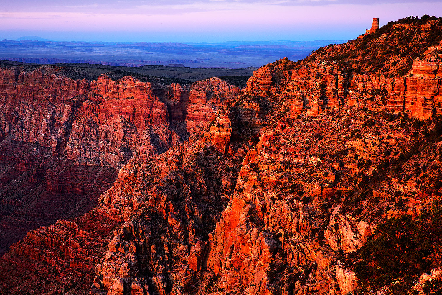 2014-08-29-gc-lipton-1dx-0077