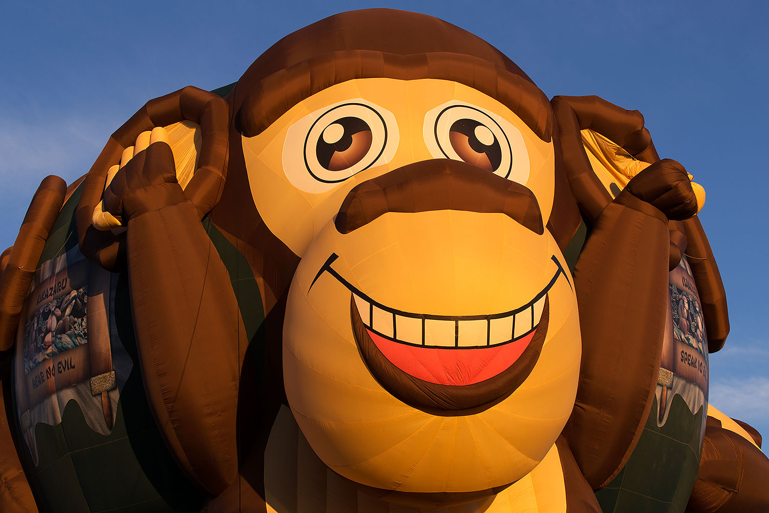 2015-01-17-havasu-balloons-1dx_5325