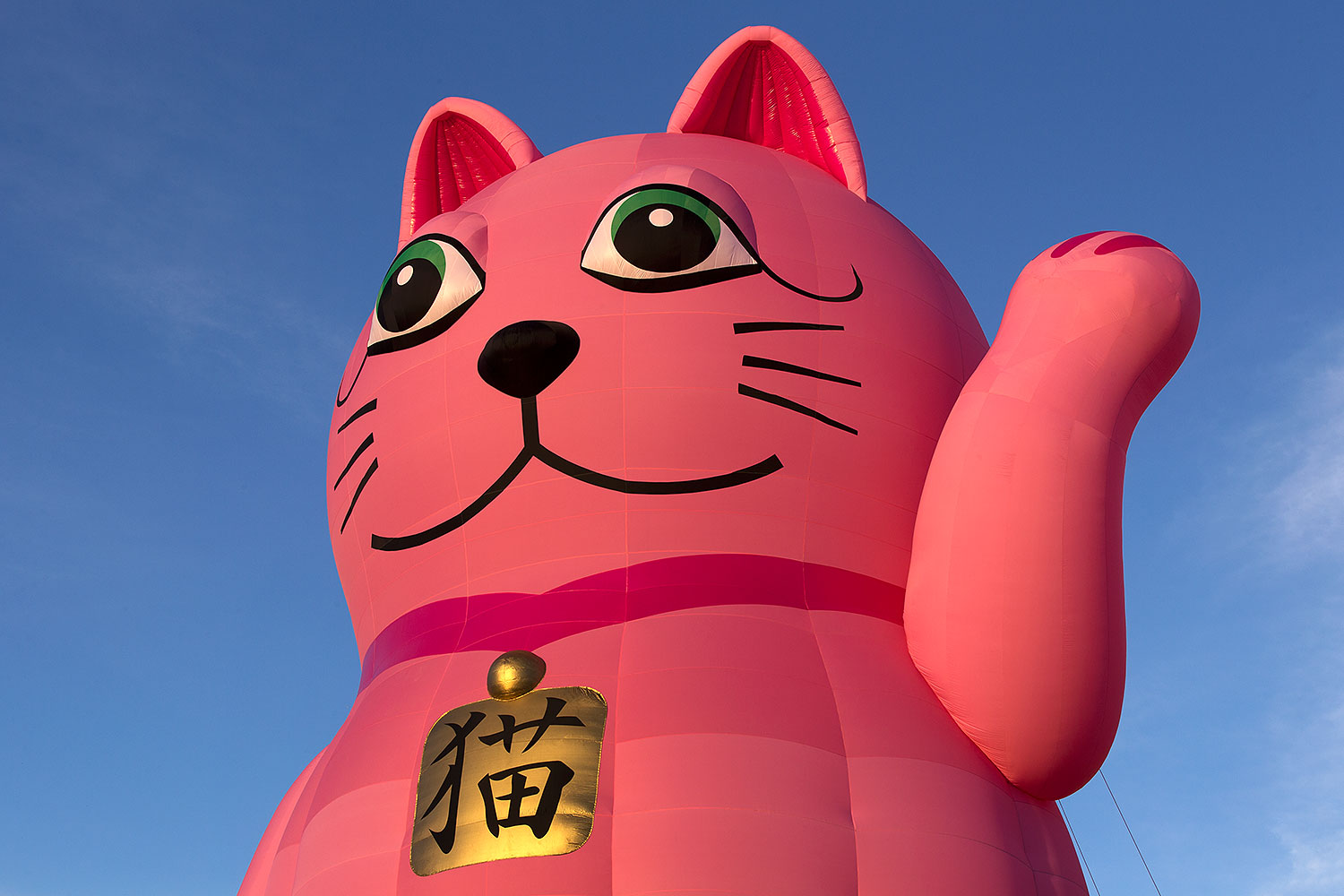 2015-01-17-havasu-balloons-1dx_5392