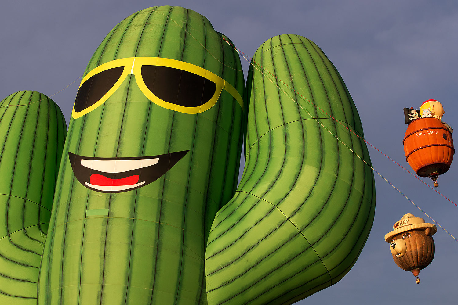 2015 01 18 havasu balloons 1dx 9397