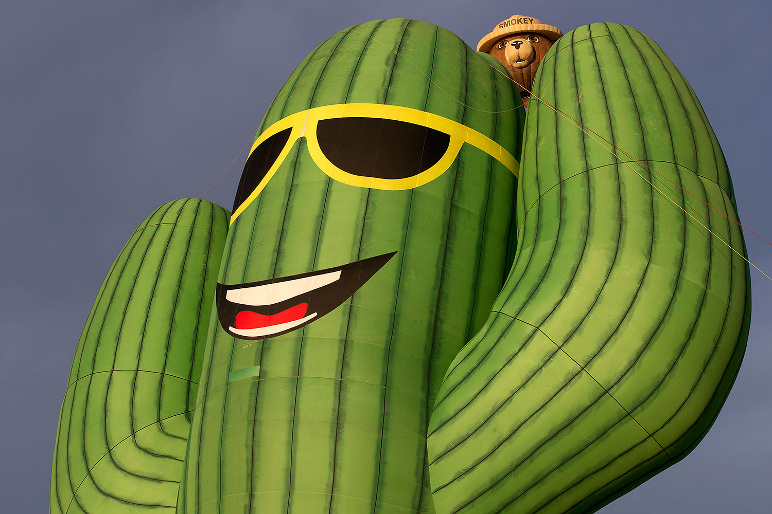 2015-01-18-havasu-balloons-1dx_9421