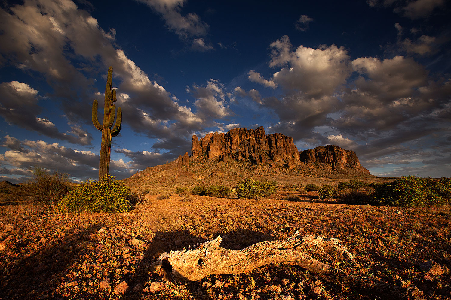 Evening in Superstitions â€¦ July 2015